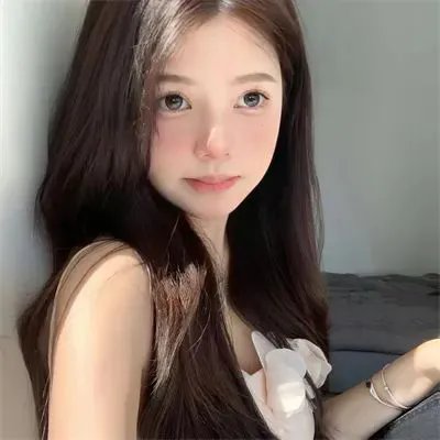 继承者风云