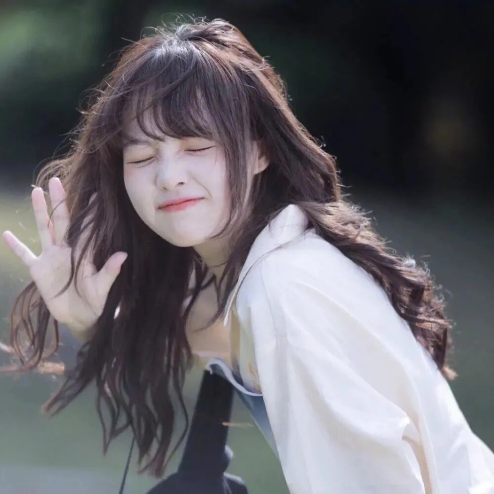 弃黄从正第二季